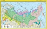 Карта Природные зоны России, 2 листа ,1:5, 112*182, ламинирование одностороннее