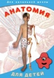DVD Анатомия для детей Артикул: нчш0184